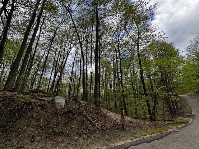 UNIT24 Forest Trl, Bellaire, MI 49615