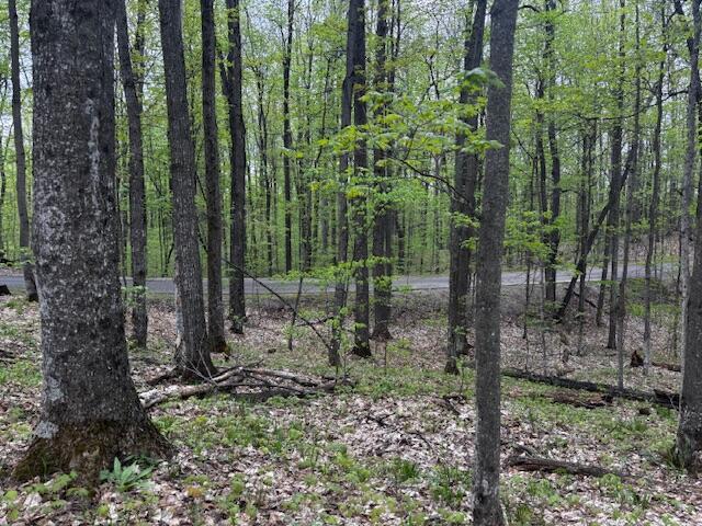 UNIT24 Forest Trl, Bellaire, MI 49615