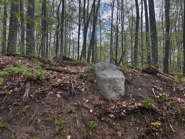 UNIT24 Forest Trl, Bellaire, MI 49615
