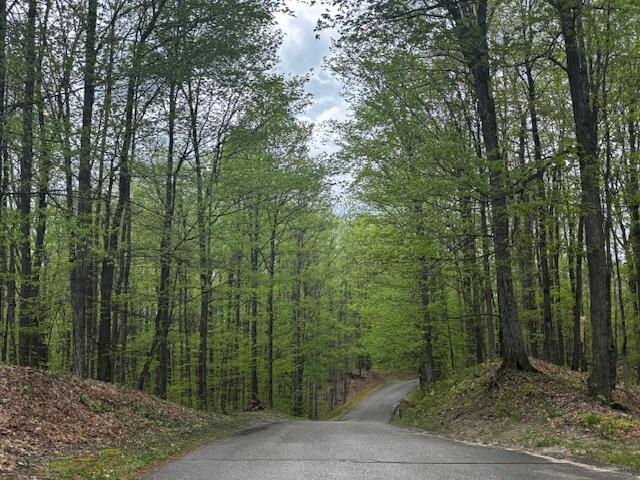 UNIT24 Forest Trl, Bellaire, MI 49615