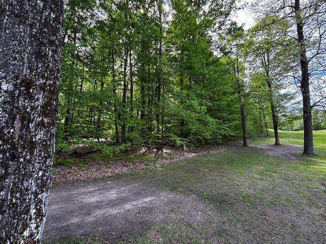 UNIT24 Forest Trl, Bellaire, MI 49615
