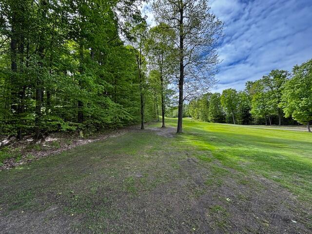 UNIT24 Forest Trl, Bellaire, MI 49615