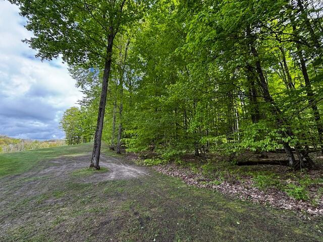 UNIT24 Forest Trl, Bellaire, MI 49615