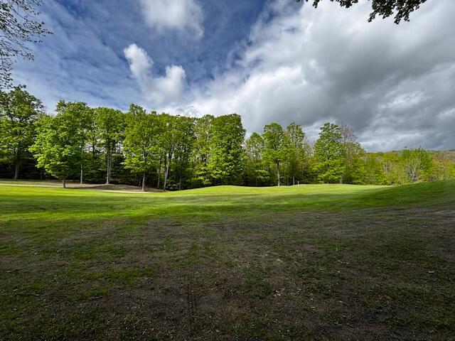 UNIT24 Forest Trl, Bellaire, MI 49615