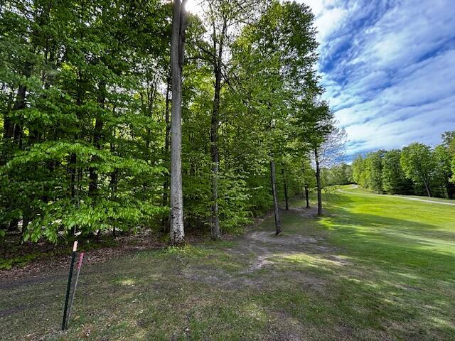 UNIT24 Forest Trl, Bellaire, MI 49615