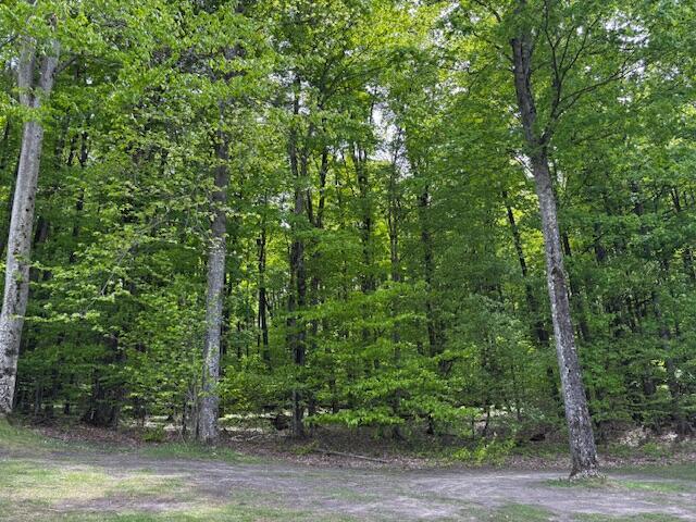 UNIT24 Forest Trl, Bellaire, MI 49615