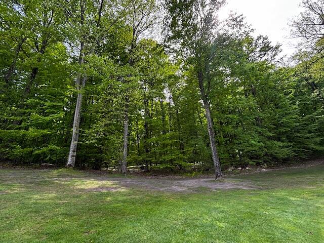UNIT24 Forest Trl, Bellaire, MI 49615