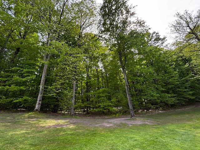 UNIT24 Forest Trl, Bellaire, MI 49615