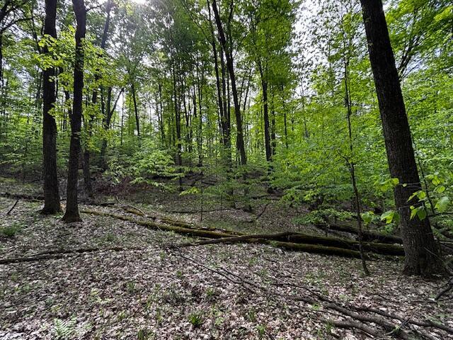 UNIT24 Forest Trl, Bellaire, MI 49615