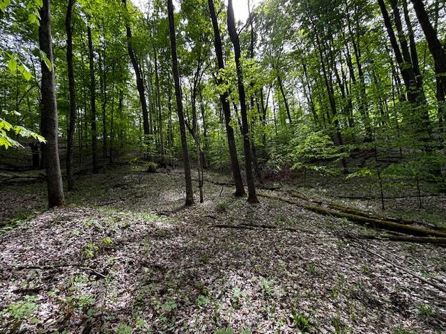 UNIT24 Forest Trl, Bellaire, MI 49615