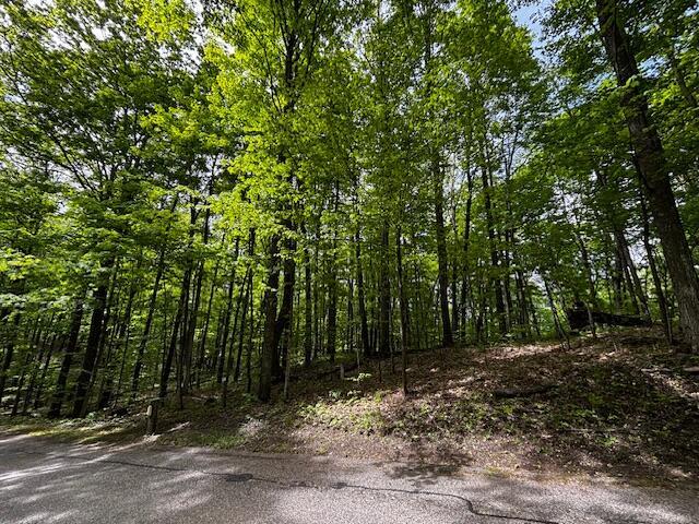 UNIT24 Forest Trl, Bellaire, MI 49615