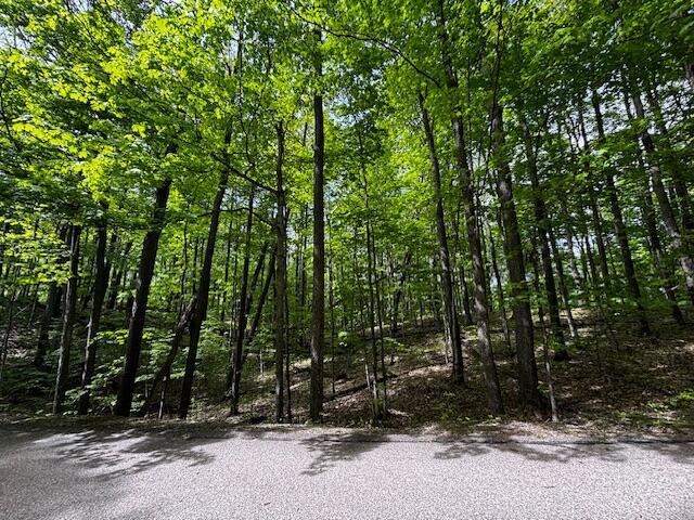 UNIT24 Forest Trl, Bellaire, MI 49615