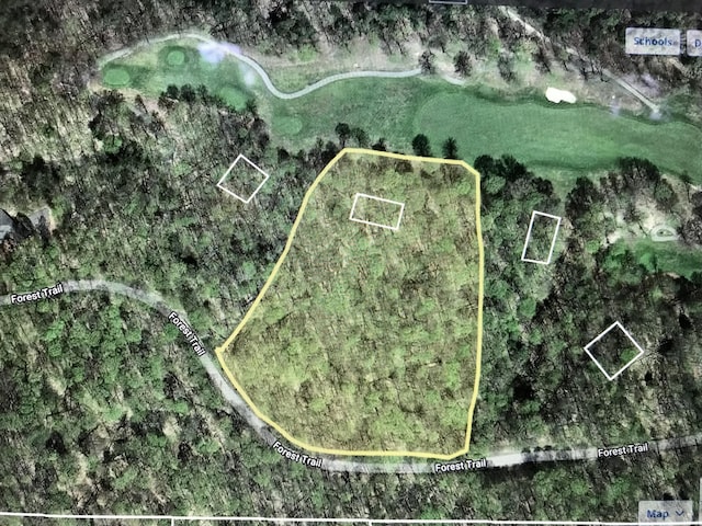 UNIT24 Forest Trl, Bellaire, MI 49615