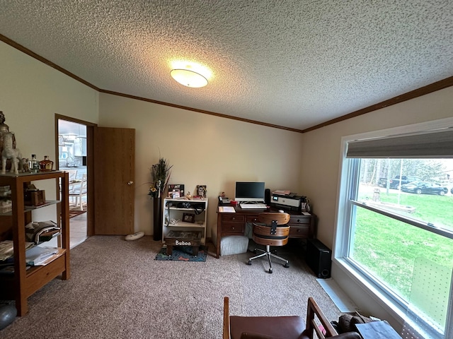 1085 Five Lakes Rd, Gaylord, MI 49735 - carpeted home office with ornamental molding and a textured ceiling