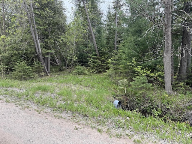W M-68, Alanson, MI 49706
