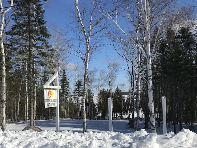 LOT325 Fallen Timbers Dr, Presque Isle, MI 49777
