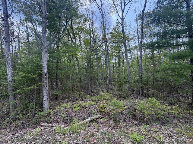 LOT325 Fallen Timbers Dr, Presque Isle, MI 49777