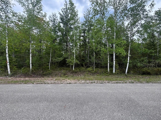 LOT325 Fallen Timbers Dr, Presque Isle, MI 49777