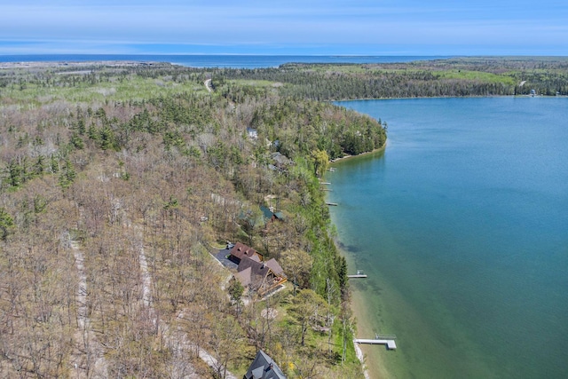 10924 E Grand Lake Rd, Presque Isle, MI 49777 - aerial overview of property's location with a nearby body of water and a forest