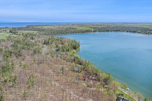 10924 E Grand Lake Rd, Presque Isle, MI 49777 - view of property location with a large body of water and a forest
