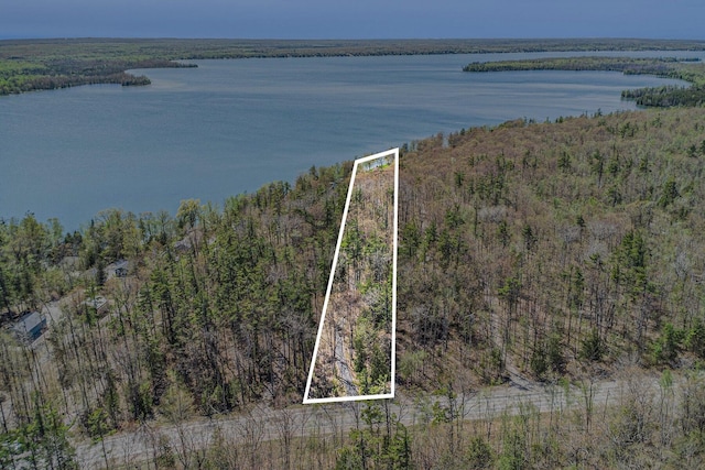 10924 E Grand Lake Rd, Presque Isle, MI 49777 - aerial overview of property's location featuring property parcel outlined, a nearby body of water, and a heavily wooded area