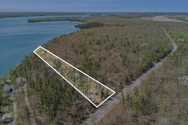 10924 E Grand Lake Rd, Presque Isle, MI 49777 - view of property location with a nearby body of water, property parcel outlined, and a heavily wooded area