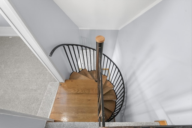 4348 W Lakeside Dr, West Branch, MI 48661 - view of stairs