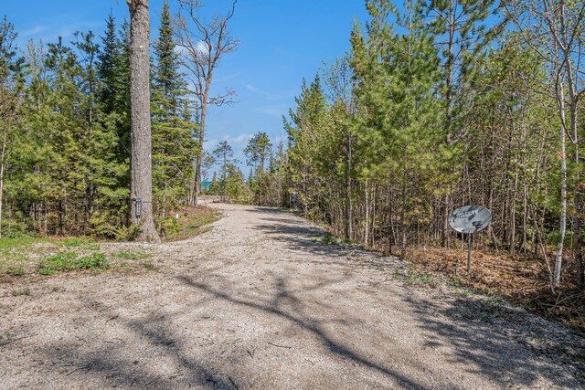 6850 Beach Rd, Rogers City, MI 49779 - photo 42