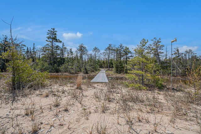 6850 Beach Rd, Rogers City, MI 49779 - photo 45