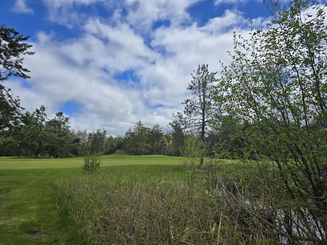 111 Longfield Dr, Lewiston, MI 49756 - photo 8