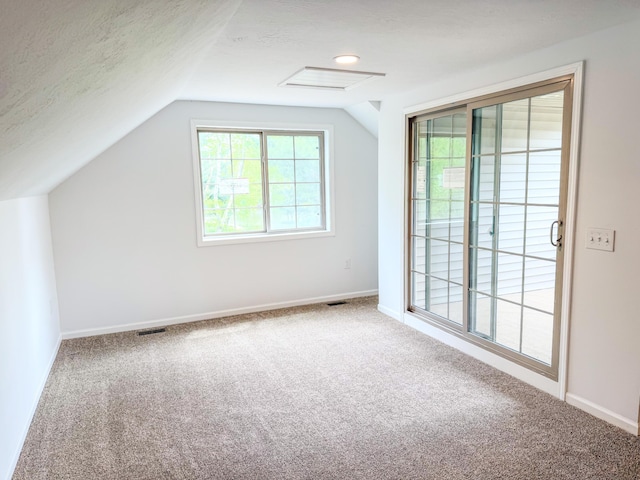 116 No Wake Ct, Houghton Lake, MI 48629 - additional living space with carpet flooring, lofted ceiling, baseboards, and a textured ceiling