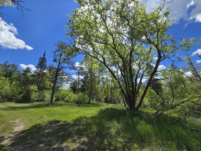 903 W 8th St, Mio, MI 48647 - view of green lawn