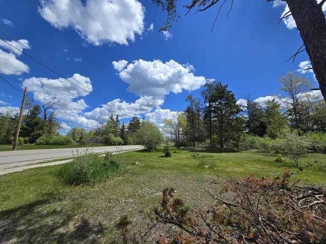 903 W 8th St, Mio, MI 48647 - view of yard