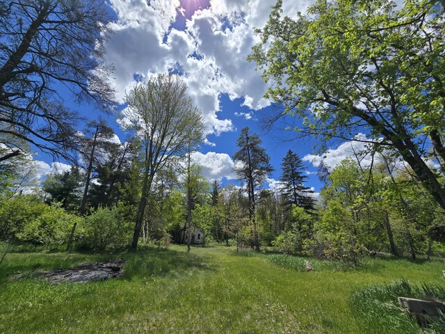 903 W 8th St, Mio, MI 48647 - view of yard featuring a forest view