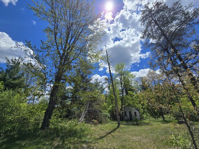 903 W 8th St, Mio, MI 48647 - view of nature