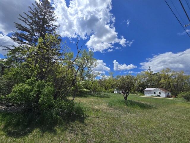903 W 8th St, Mio, MI 48647 - view of grassy yard