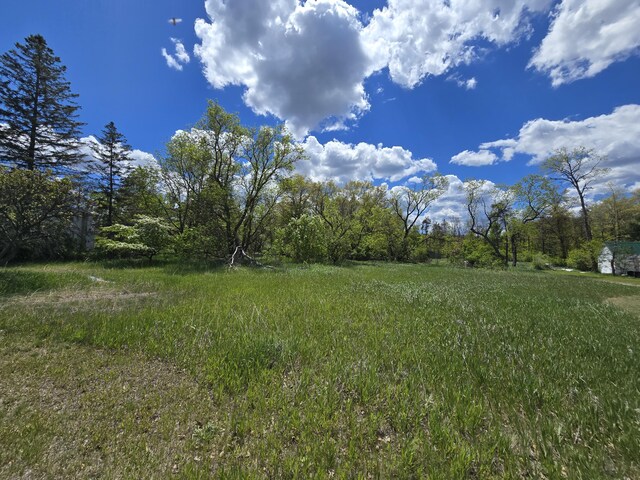903 W 8th St, Mio, MI 48647 - view of yard