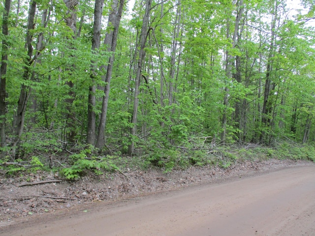 000 Lutz Rd, Atlanta, MI 49709 - photo 1