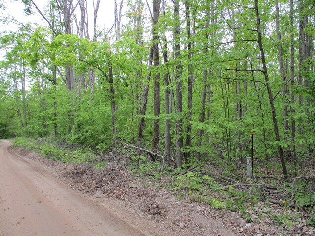 000 Lutz Rd, Atlanta, MI 49709 - photo 2