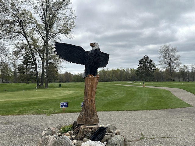 LOT6 Fairway Ct, Grayling, MI 49738