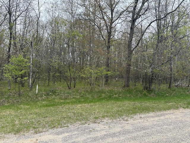 LOT6 Fairway Ct, Grayling, MI 49738