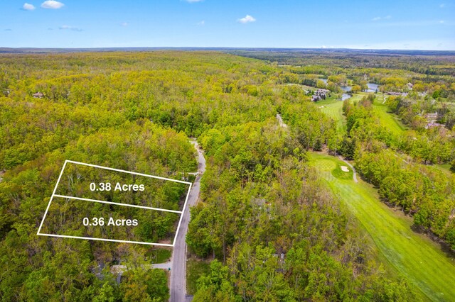 1162 Michaywe Dr, Gaylord, MI 49735 - photo 4