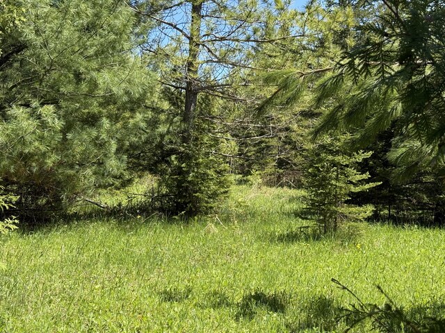 9613 Ross Rd, Cheboygan, MI 49721