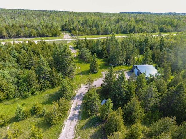 9613 Ross Rd, Cheboygan, MI 49721 - photo 6