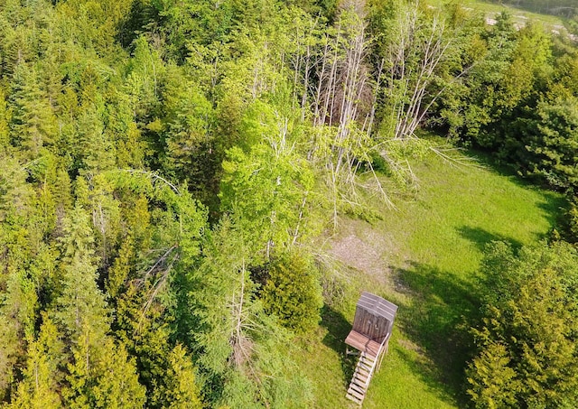 9613 Ross Rd, Cheboygan, MI 49721 - photo 7