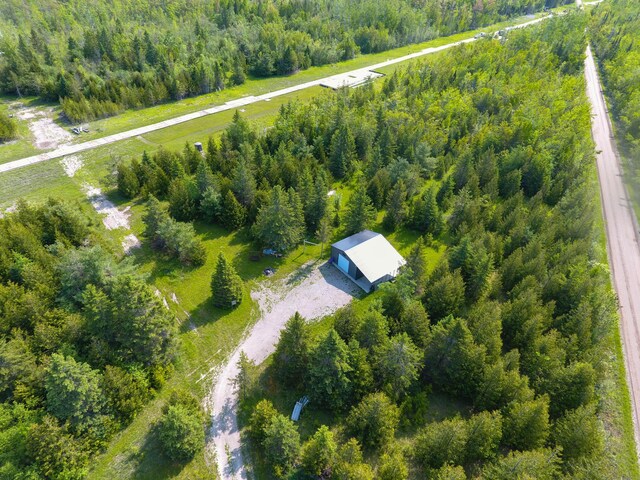 9613 Ross Rd, Cheboygan, MI 49721 - photo 8