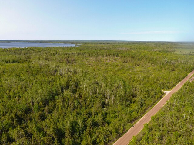 9613 Ross Rd, Cheboygan, MI 49721 - photo 9
