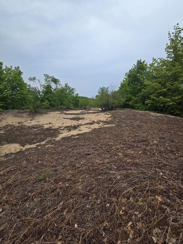 000 Durkalic Rd, Pellston, MI 49769