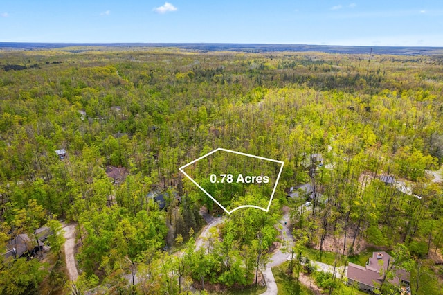 LOT369 Forest Park Trl, Gaylord, MI 49735 - photo 2