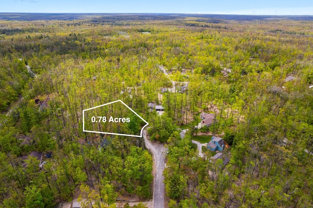 LOT369 Forest Park Trl, Gaylord, MI 49735 - photo 3